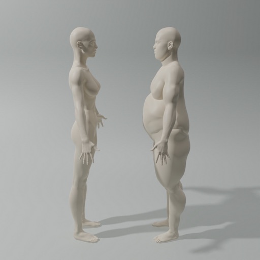 Body Number -3D body track