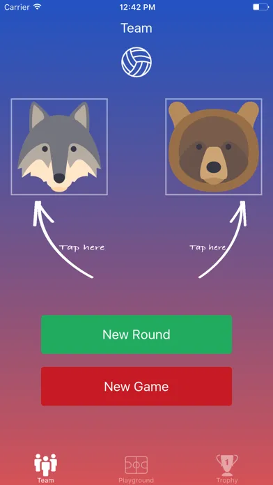 Volleyball Counter Screenshots