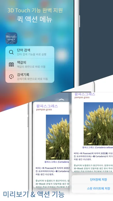 Capturas de pantalla de 브리태니커 콘사이스 백과사전