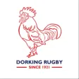 Dorking Rugby Club