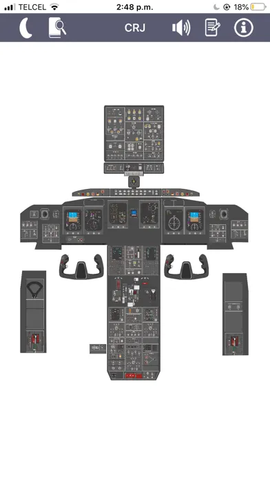 CRJ Virtual Panel Screenshots