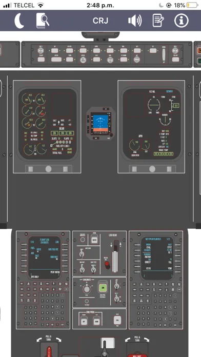 CRJ Virtual Panel Screenshots