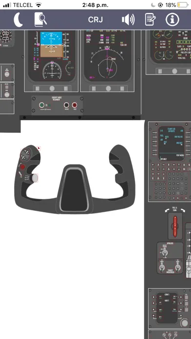 CRJ Virtual Panel Screenshots