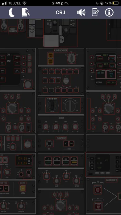 CRJ Virtual Panel Screenshots