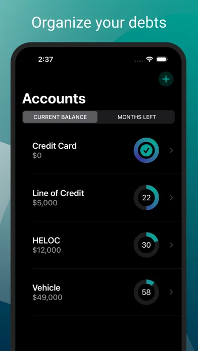 Zrzuty ekranu Debt Zero