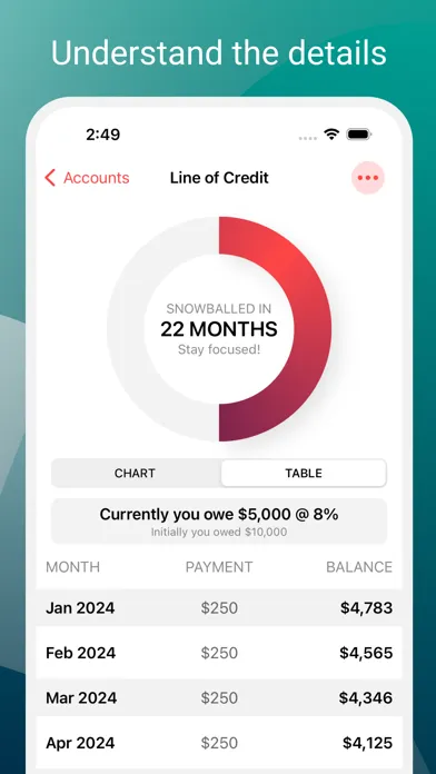 Zrzuty ekranu Debt Zero