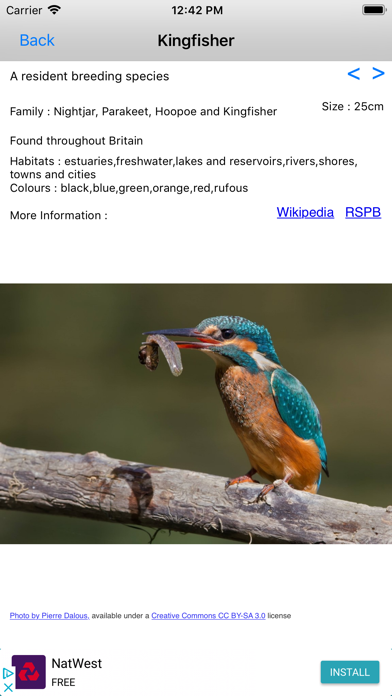 Capturas de tela do Birds Of Britain