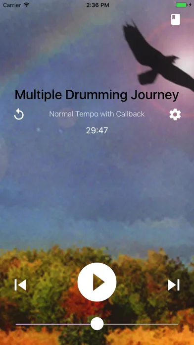 Capturas de tela do Shamanic Journey Drumming - Frauke Rotwein