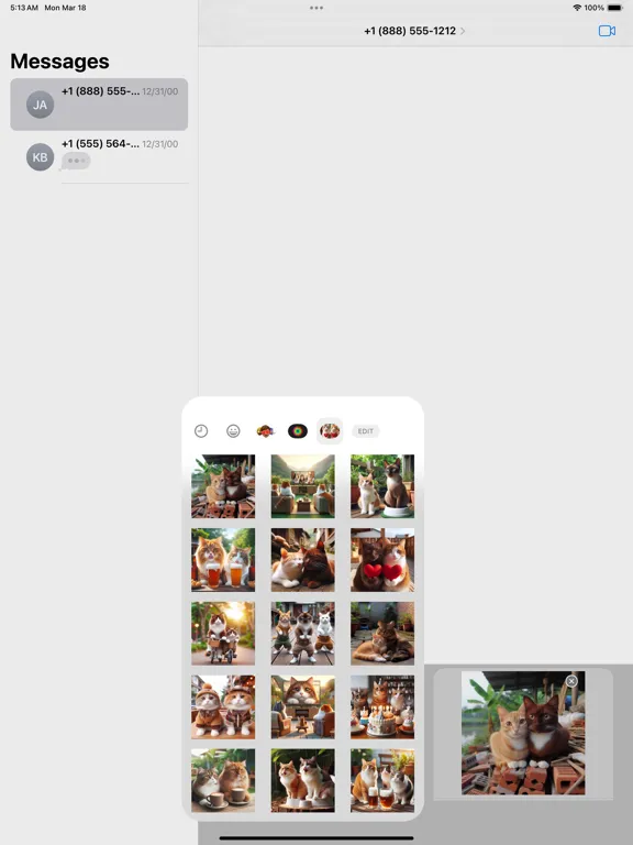 Capturas de tela do Happy Couple Cat Stickers iPad 