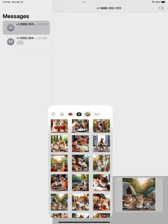 Capturas de tela do Happy Couple Cat Stickers iPad 