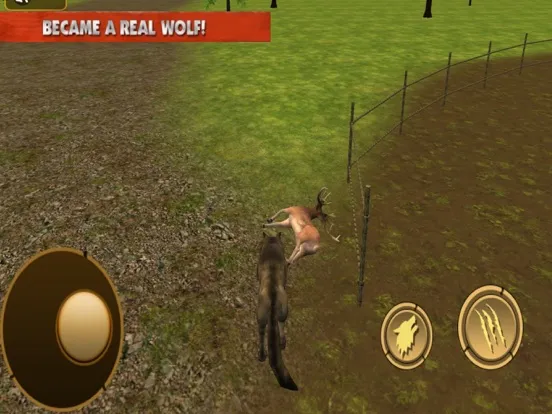 Wild Wolf Life Simulator iPad 應用截圖