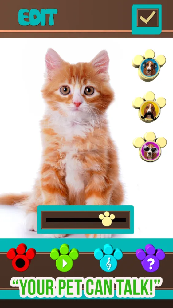 Captures d'écran de +My Pet Can Talk Videos - Free Virtual Talking Animal Game