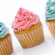 Cupcakeroo! Cupcakeroo!