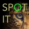 Spot it Photo Hunt Game