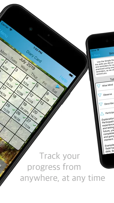 Simple DBT Skills Diary Card Screenshots