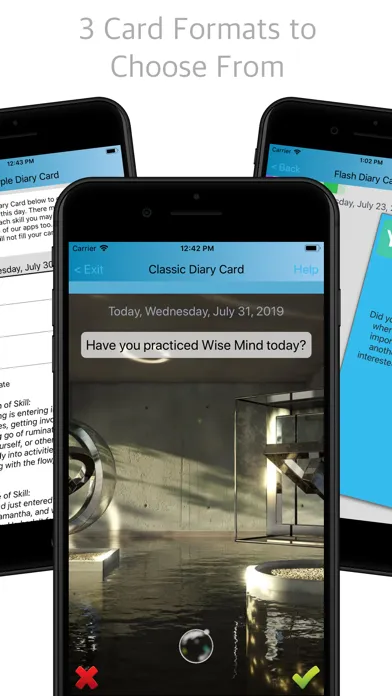 Simple DBT Skills Diary Card Screenshots
