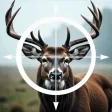 DEER FPS SNIPER HUNTING GAME DEER FPS SNIPER HUNTING GAME