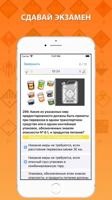 Screenshot di Экзамен ДОПОГ 2024