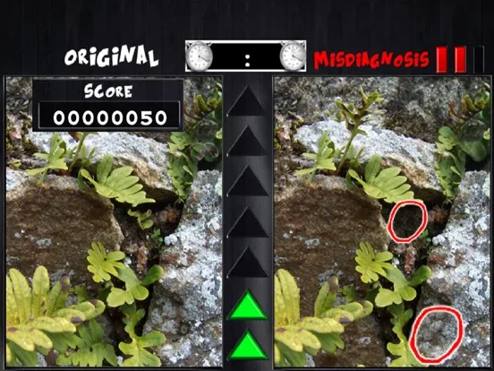 Tangkapan layar Photograph Inspector iPad 