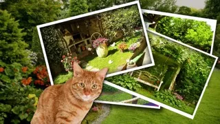 ภาพหน้าจอของ Find Cat