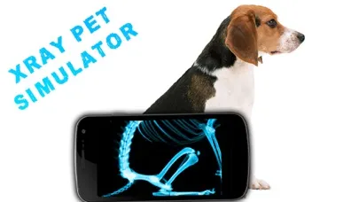 تصاویر Simulator X-Ray Pet
