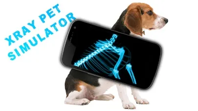 تصاویر Simulator X-Ray Pet