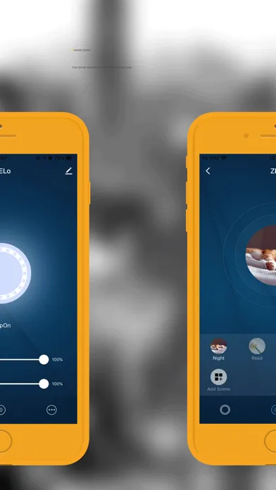 صور Brightline Smart