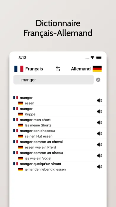 ภาพหน้าจอของ Dictionnaire Allemand/Français