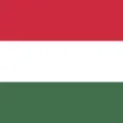 Hungarian/English Dictionary