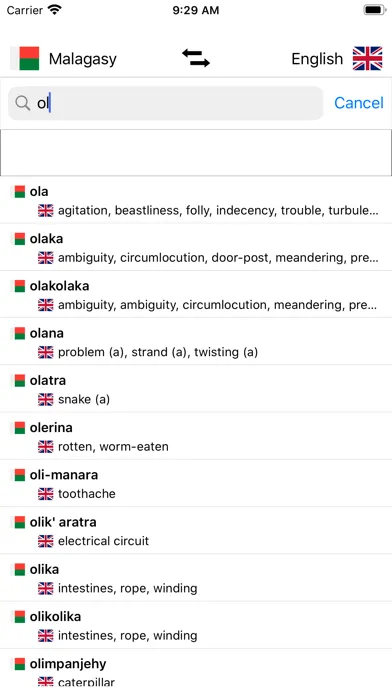 Malagasy-English Dictionary スクリーンショット