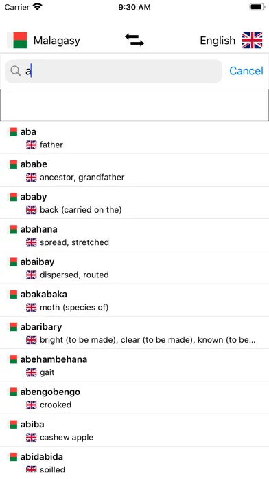 Malagasy-English Dictionary スクリーンショット