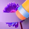 Remove objects and background+ Remove objects and background+