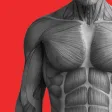 BCAA - fitness planner & log