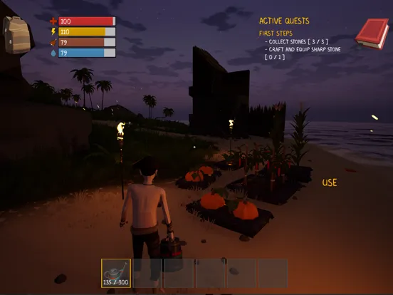 Tangkapan layar Sailor's Odyssey iPad 