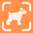 Dog Breed Identifier - ScanDog