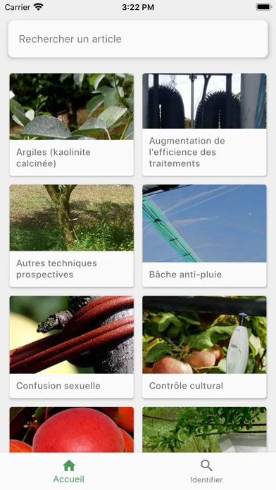 Eco-Fruits 스크린샷