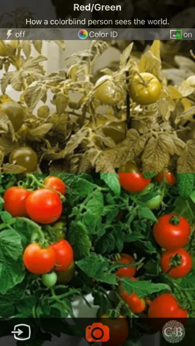 Ảnh chụp màn hình của ColorDeBlind - how color blind people see the world.