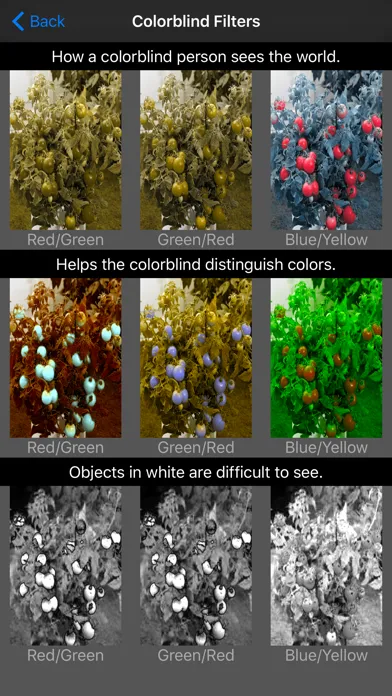 Ảnh chụp màn hình của ColorDeBlind - how color blind people see the world.