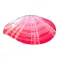 A-B-Seashells 2