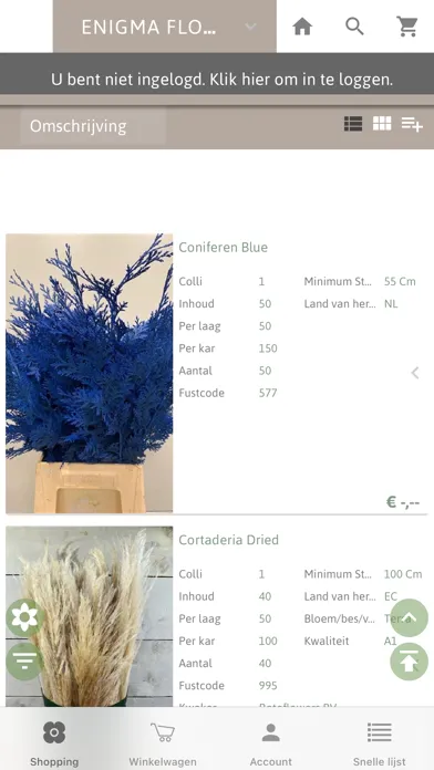 Enigma Flowers Ekran Görüntüleri