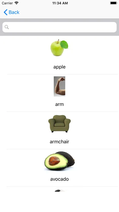 Screenshot di English words, nouns and test