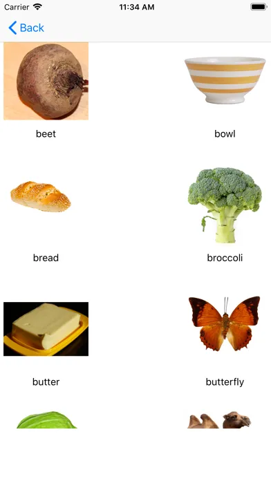 Screenshot di English words, nouns and test