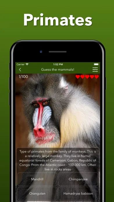 Скриншоты Animals Kingdom: Zoo Wild Quiz