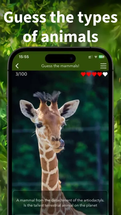 Скриншоты Animals Kingdom: Zoo Wild Quiz