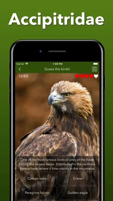 Скриншоты Animals Kingdom: Zoo Wild Quiz