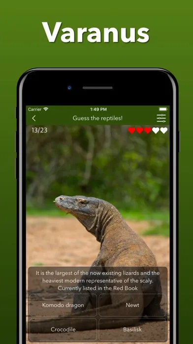 Скриншоты Animals Kingdom: Zoo Wild Quiz