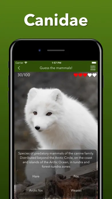 Скриншоты Animals Kingdom: Zoo Wild Quiz