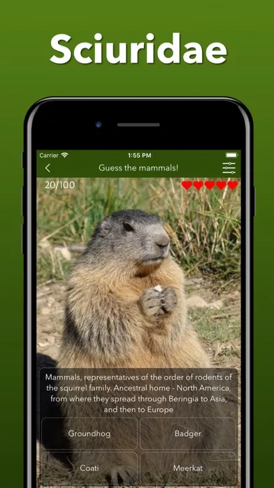 Скриншоты Animals Kingdom: Zoo Wild Quiz