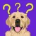 Dog Breeds Training Games Life
