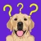 Dog Breeds Training Games Life